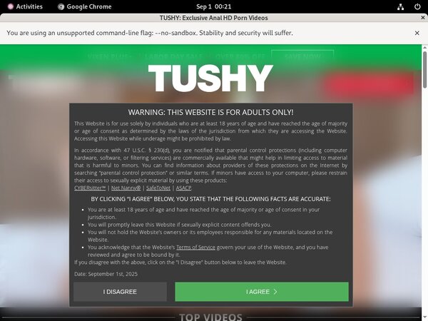 Free Download Tushy.com