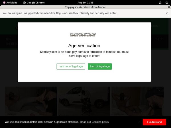 Get Free Sket Boy Passwords Get Free Sket Boy Passwords