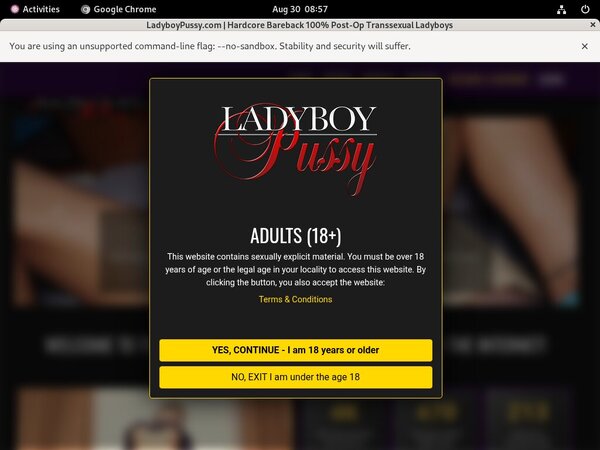 Ladyboypussy.com Pass Login