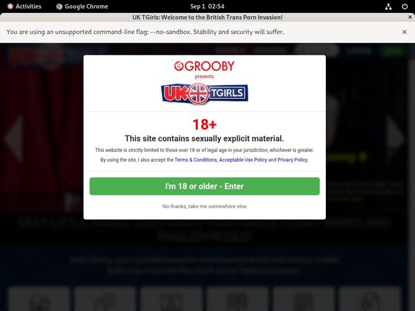 Password Free UK TGirls