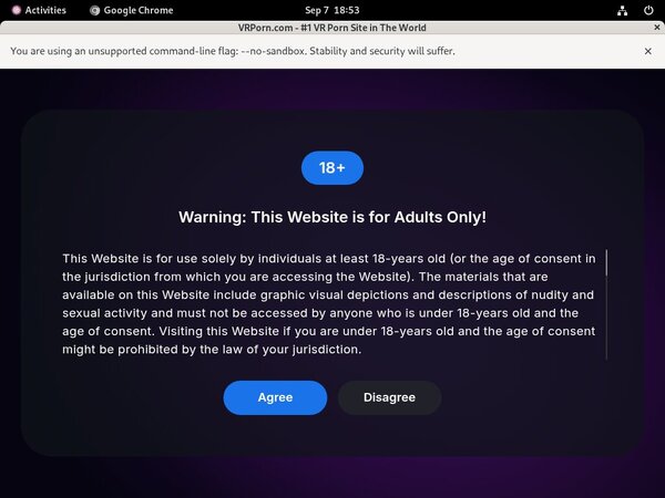 VR Porn Hacked Accounts