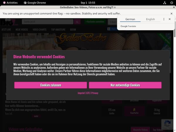 3X Online Epoch Paypal