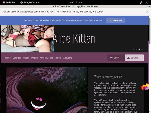Alicekitten.modelcentro.com Free Acc