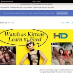 Americankittens Con