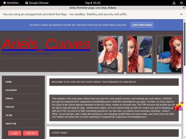 Ariel With IBAN / BIC Code