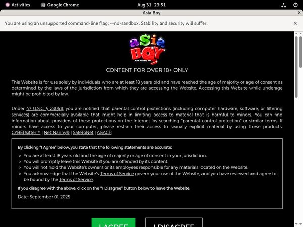 Asia Boy Casting
