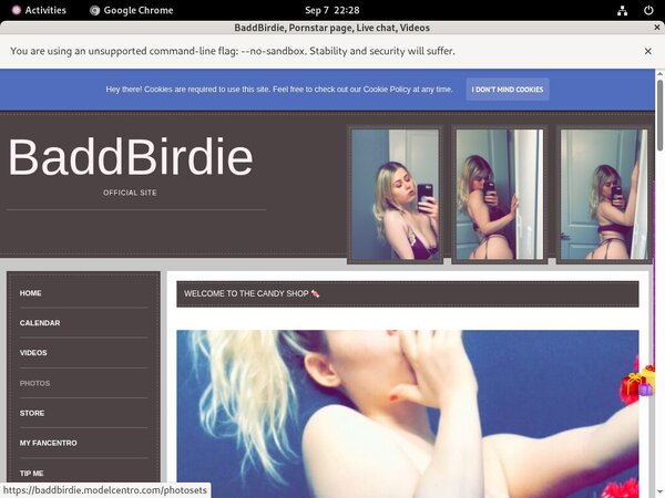 BaddBirdie 5k