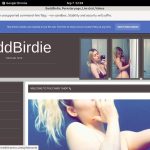 BaddBirdie Descuento