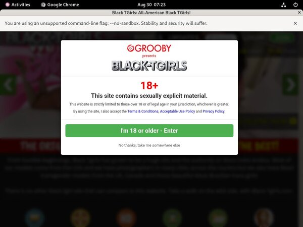 Black TGirls Promo Tour