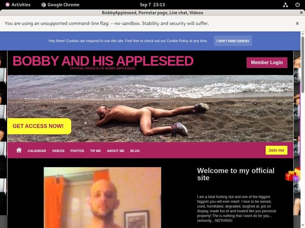 [Image: Bobbyappleseed-Kink.jpg]