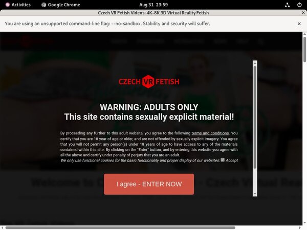 Czechvrfetish.com Active Password