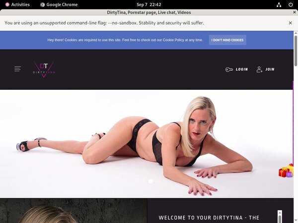 DirtyTina Site-rip