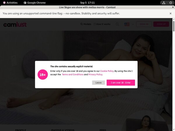 [Image: Discount-Camlustcom-Promotion.jpg]