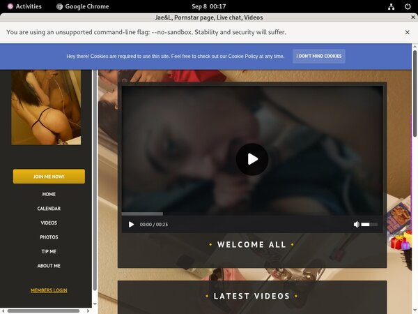 Free Logins For Jael.modelcentro.com