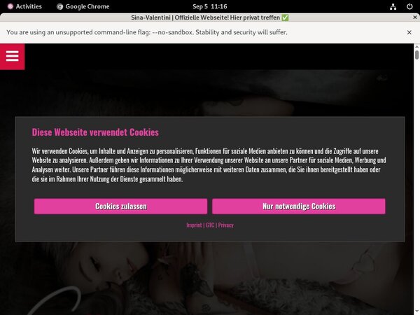 Free Trial On Valentinisina