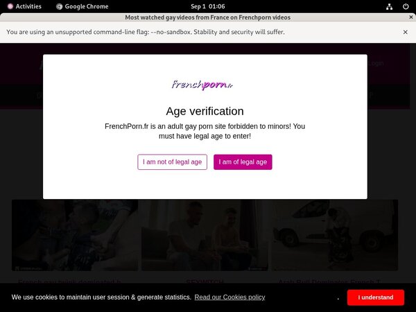 Frenchporn.fr Discount Offers