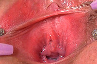 Gapemypussy.com Guys s4