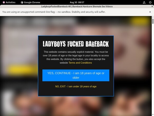 How To Join Ladyboys Fucked Bareback For Free