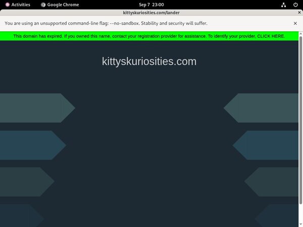Kitty's Kuriosities Buy Credits