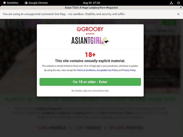 Ladyboy Ladyboy Discount