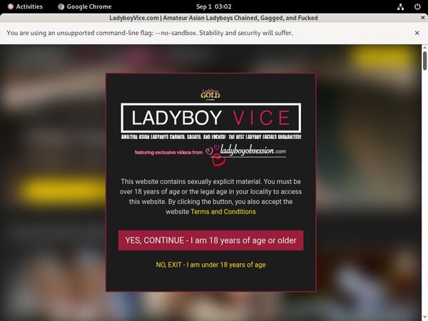 Ladyboy Vice List