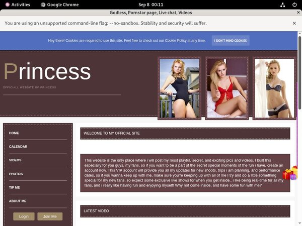 Membership To Cardboard.modelcentro.com