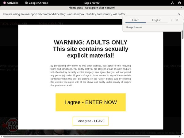 Mentalpass Account Information