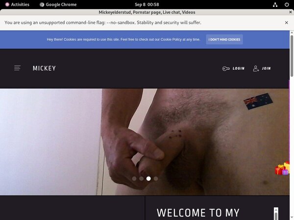 Mickeyelderstud.modelcentro.com Free Trial 2018 Mickeyelderstud.modelcentro.com Free Trial 2018