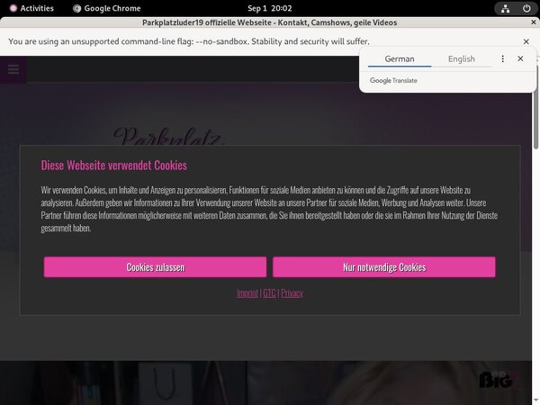 Parkplatzluder19 Webcam