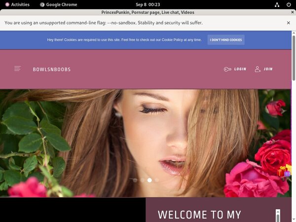 PrincexPunkin Pro Biller Page