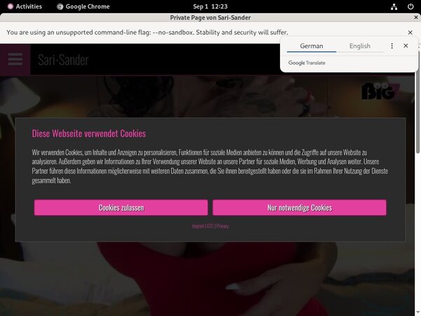 Sander Sari Premium Password