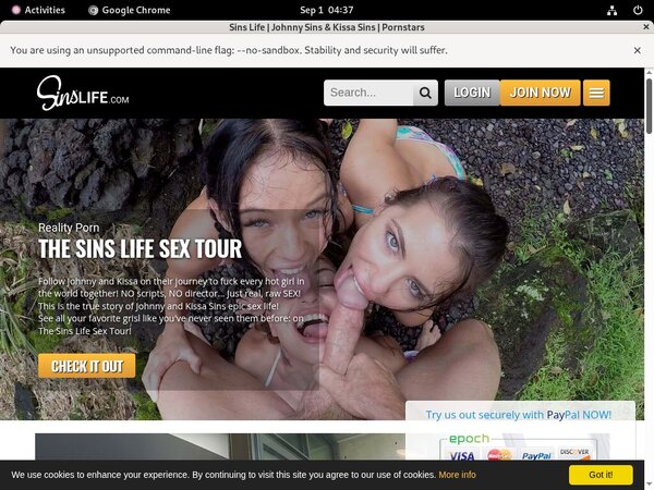 Sins Life Discount Username