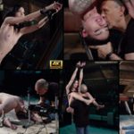 Subspace Land Login Codes