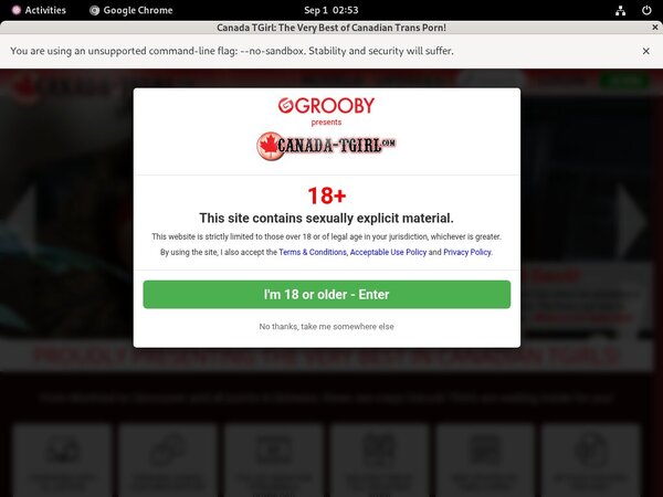 TGirl Canada Discount Price