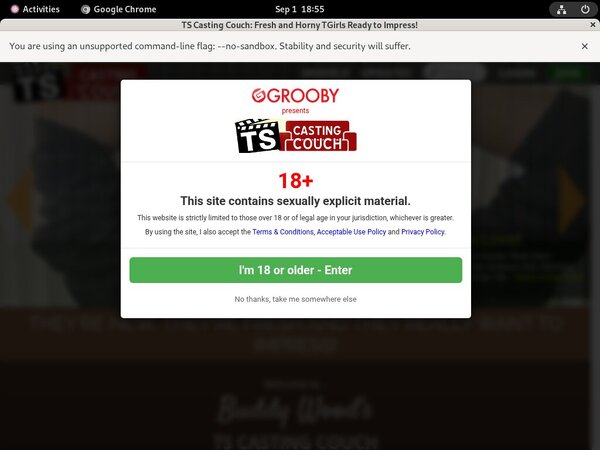 TS Casting Couch Discount Payment