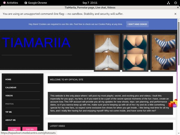 Tepasilveri.modelcentro.com Site Rip New