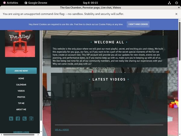 Thealleywynwood.modelcentro.com Trial Member