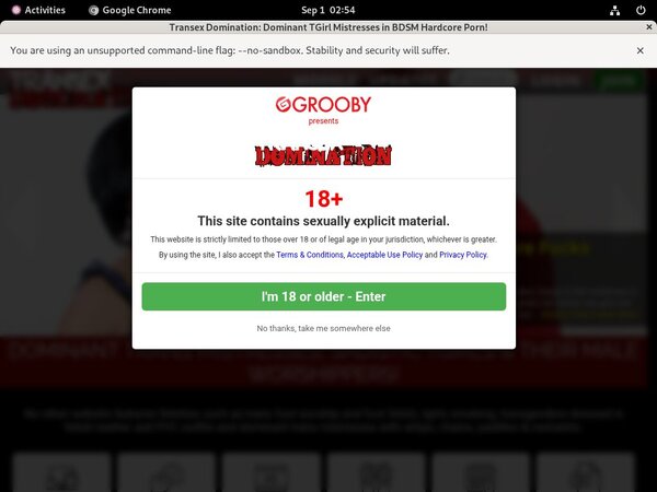 Transex Domination Codes