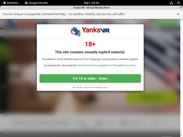 Yanksvr.com Site Review