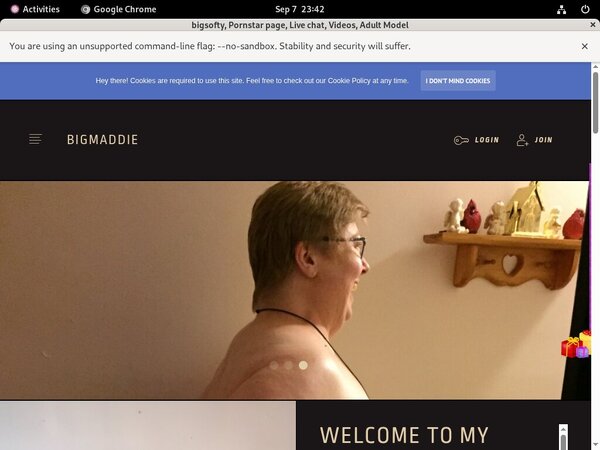 Bigsofty Paysite