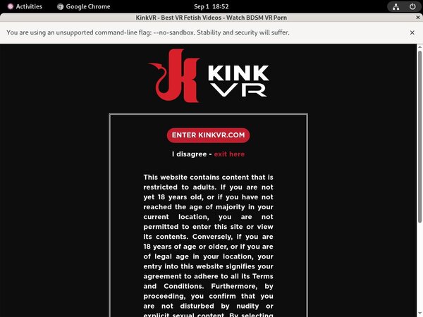 Kink VR Discount Porno
